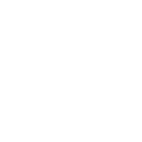 黑棍操大逼